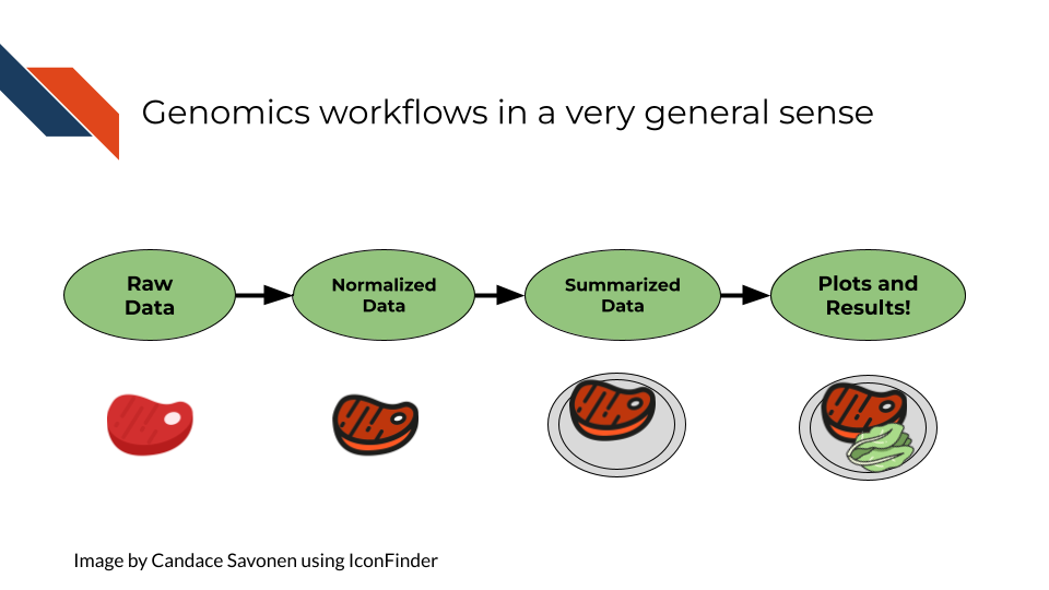 In the most general sense, all genomics data when originally collected is raw, it needs to undergo processing to be normalized and ready to use. Then normalized data is generally summarized in a way that is ready for it to be further consumed. Lastly this summarized data is what can be used to make inferences and create plots and results tables. 