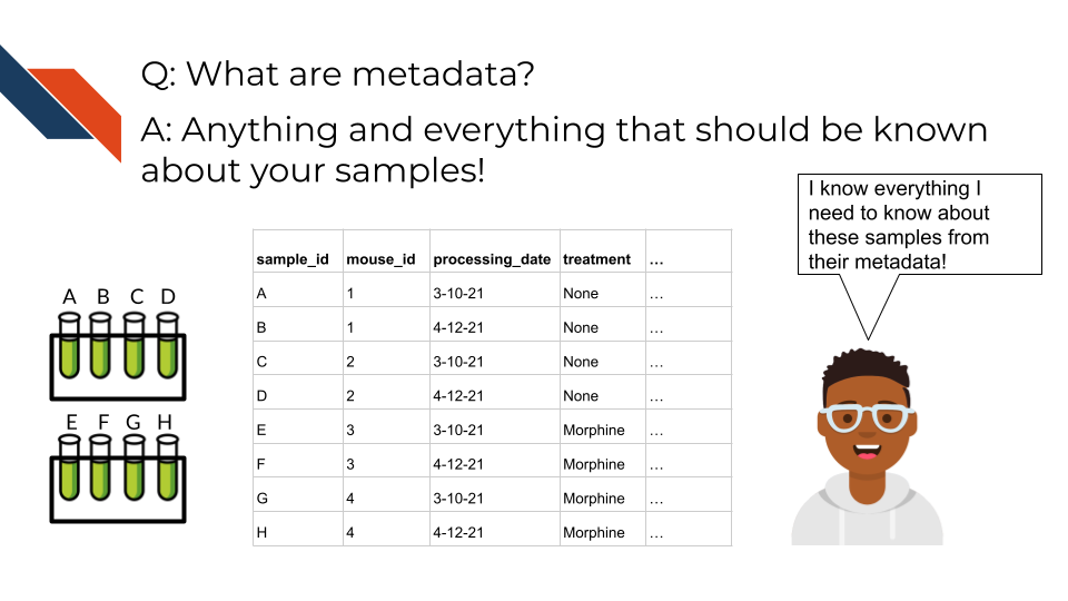 Question: What are metadata? Answer: Anything and everything that should be known about your samples! Samples labeled A-H are in test tubes. A corresponding spreadsheet has metadata such as mouse id, processing date, treatment and etc. The researcher says ‘I know everything I need to know about these samples from their metadata!’