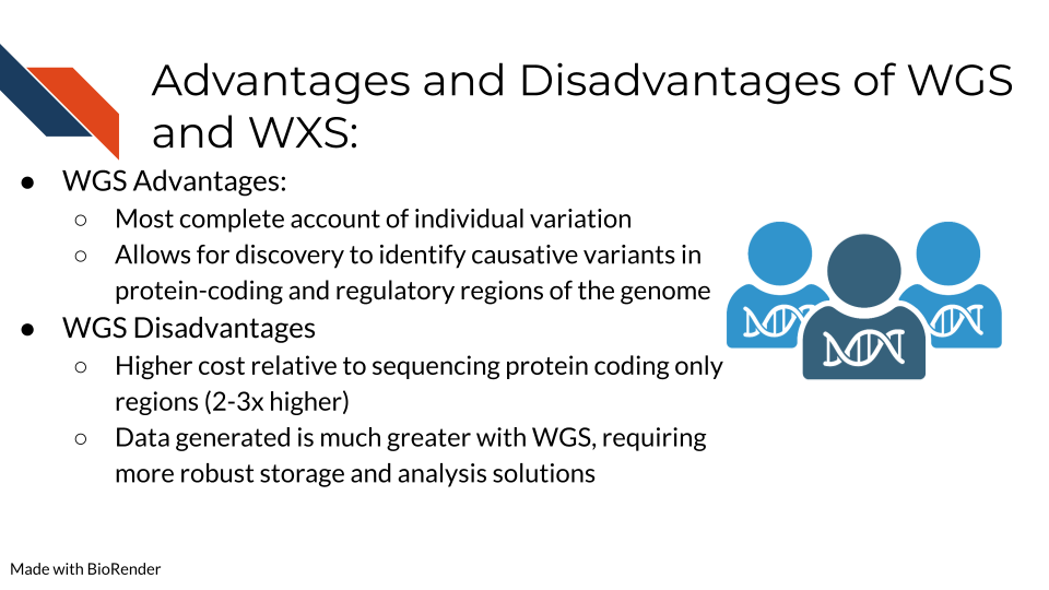 Advantages and Disadvantages of WGS as opposed to WXS: Most complete account of individual variation, Ability to study: Structural rearrangements, Copy number variations, Insertion-Deletions, SNPs, Sequencing repeats, Coding, non-coding, and mitochondrial genome coverage, allows for discovery - identify causative variants; Disadvantages include higher cost and more resources for storing and analyzing data
