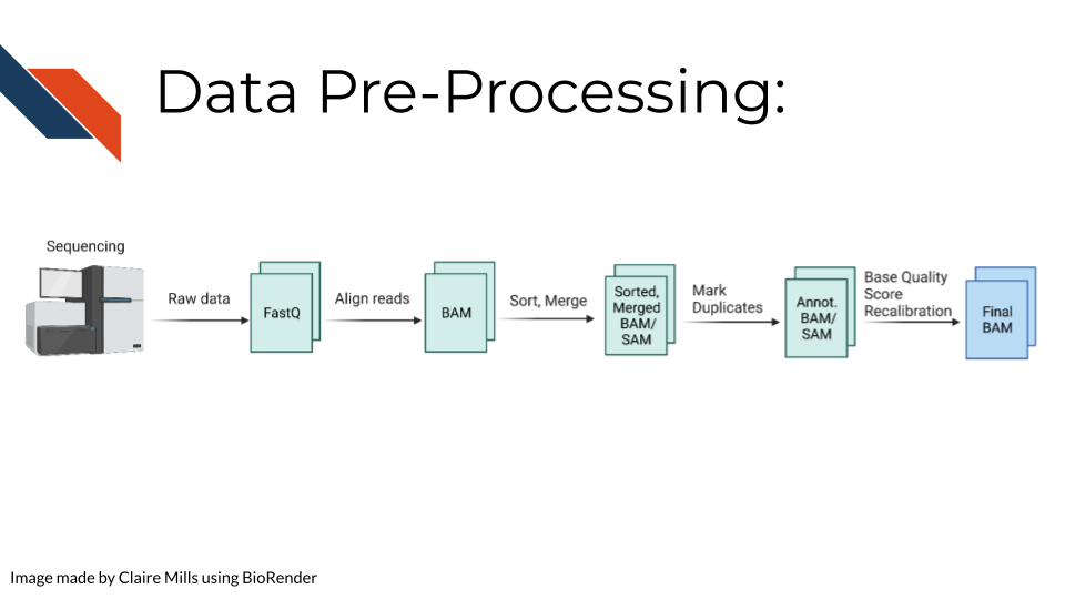 Data pre-processing pipeline overview: Raw data from sequencing is transformed into a Fastq file, reads are aligned and a Bam file is created, the data is sorted and merged, duplicates are identified, and the base quality score is recalibrated to create a final BAM file 