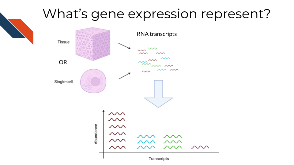 The goal of gene expression analysis is to quantify RNAs on a genome wide level