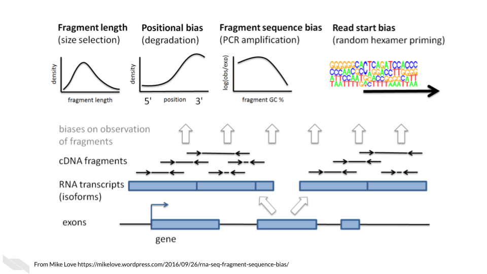 RNA-seq data has various biases introduced to the data upon data generation. RNA targets are more likely to be picked up if they are long, if they are from the 3 prime end, have a particular GC content and have a particular read start sequence.