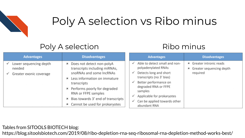 Poly A selection advantages: lower sequencing depth needed. Greater exonic coverage. Disadvantages of Poly A selection is that it does not detect non-polyA transcripts including miRNAs, snoRNAs, and some lncRNAs. It obtains less information on immature transcripts. It performs poorly for degraded RNA or Formalin-Fixed Paraffin-Embedded (FFPE) samples Bias towards 3’ end of transcripts. Cannot be used for prokaryotes. Ribo minus advantages are: It is able to detect small and non-polyadenylated RNAs. It detects long and short transcripts (no 3’ bias). It has better performance on degraded RNa or FFPE samples. It is applicable for prokaryotes. It can be applied toward other abundant RNA. The disadvantages of Ribo minus is that it will collect more intronic reads and immature RNAs (if you are not interested in those). And thus because of the greater quantity of the returned RNA pool. It requires greater sequencing depths.