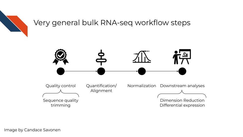 In a very general sense, RNA-seq workflows involves first quantification/alignment. You will also need to conduct quality control steps that check the quality of the sequencing done. You may also want to trim and filter out data that is not trustworthy. After you have a set of reliable data, you need to normalize your data. After data has been normalized you are ready to conduct your downstream analyses. This will be highly dependent on the original goals and questions of your experiment. It may include dimension reduction, differential expression, or any number of other analyses. 