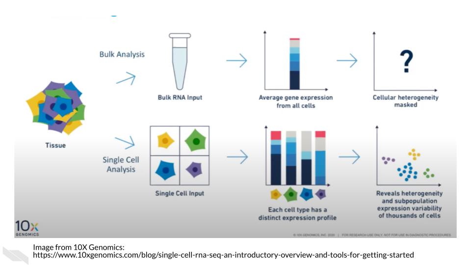 Single cell RNA-seq can give us cell level transcriptional profiles. Whereas bulk RNA-seq masks cell to cell heterogeneity.