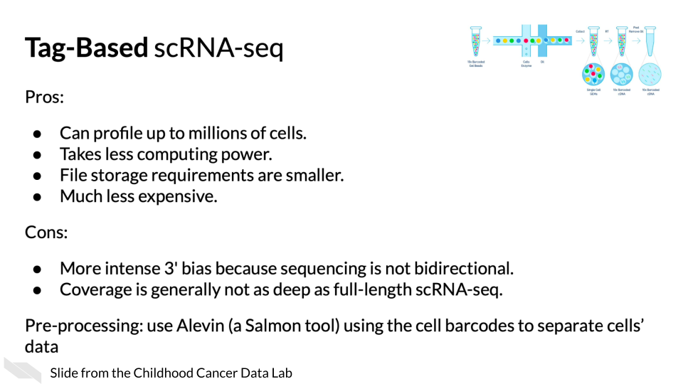 Tag based single cell RNA-seq. Pros: Can profile up to millions of cells. Takes less computing power. File storage requirements are smaller. Much less expensive. Cons: More intense 3' bias. Coverage is not as deep as full length single cell RNA-seq