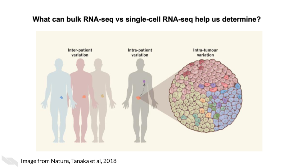 As opposed to bulk RNA-seq which can only tell us about tissue level and within patient variation, single-cell RNA-seq is able to tell us cell to cell variation in transcriptomics including intra-tumor heterogeneity