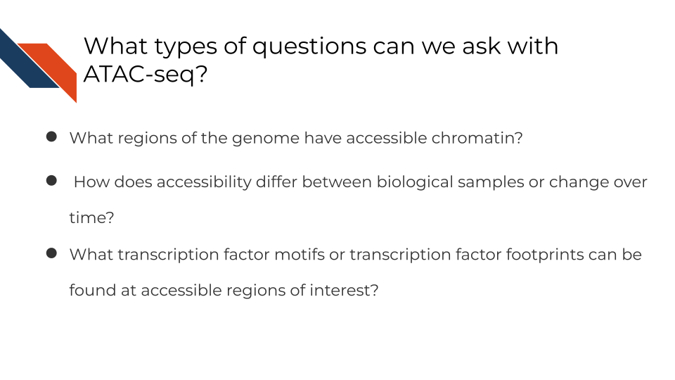 What types of questions can we ask with ATAC-seq?What regions of the genome have accessible chromatin? How does accessibility differ between biological samples or change over time? What transcription factor motifs or transcription factor footprints can be found at accessible regions of interest?