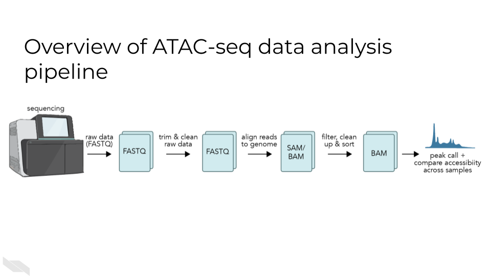 Overview of ATAC-seq data analysis pipeline