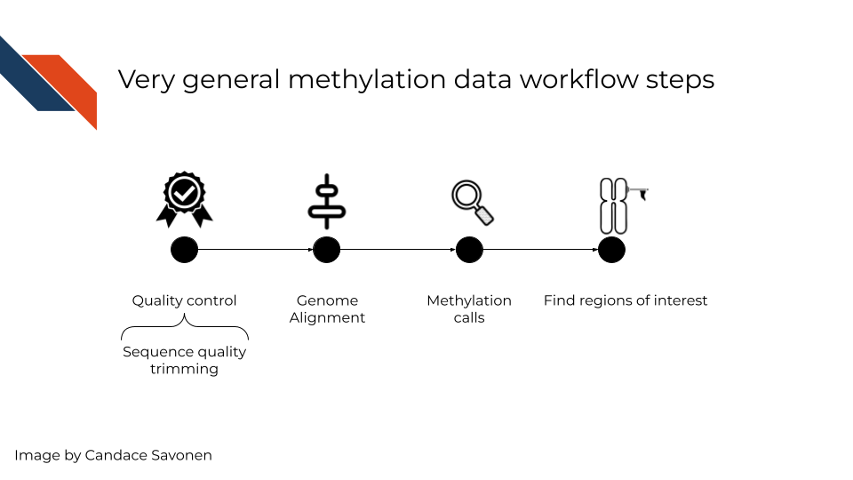 In a very general sense, methylation workflow involves sequence quality control and genome alignment like many other sequencing methods. But next, the data needs to be used to identify methylation calls and calculations of methylation fractions. Lastly, you will likely want to group the methylated bases together to identify what regions of the genome are differentially methylated and of interest. 