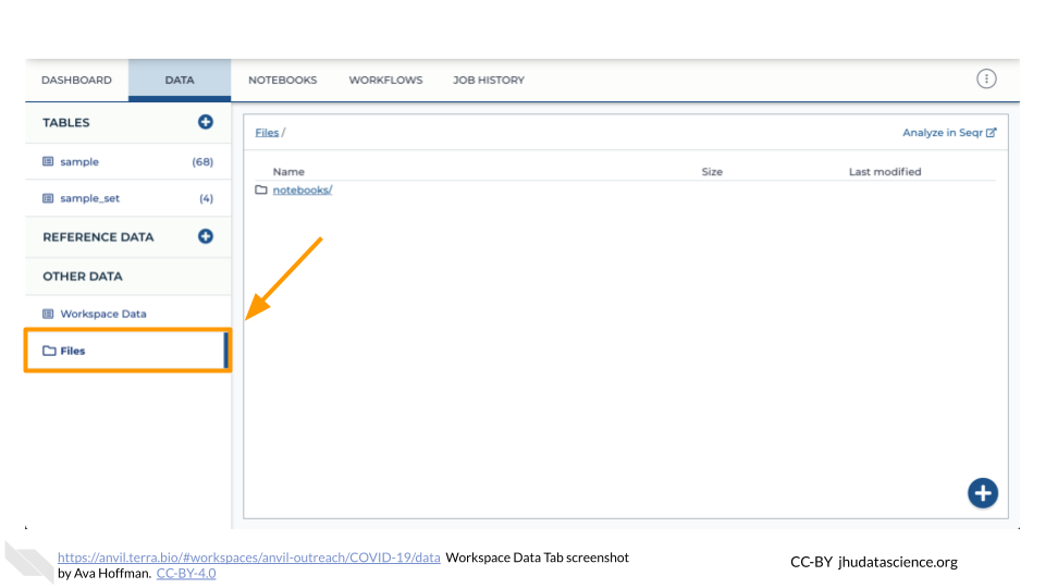 Image shows a screenshot of the Workspace Data tab. The Files directory and link on the bottom left is highlighted.