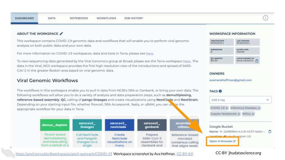 Image shows a screenshot of the Workspace Dashboard. The 'Open in browser' link at the bottom right of the screen is highlighted.
