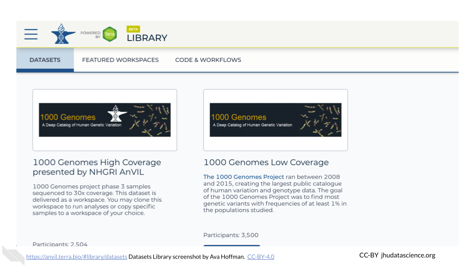 Image shows a screenshot of the Datasets Library landing page.