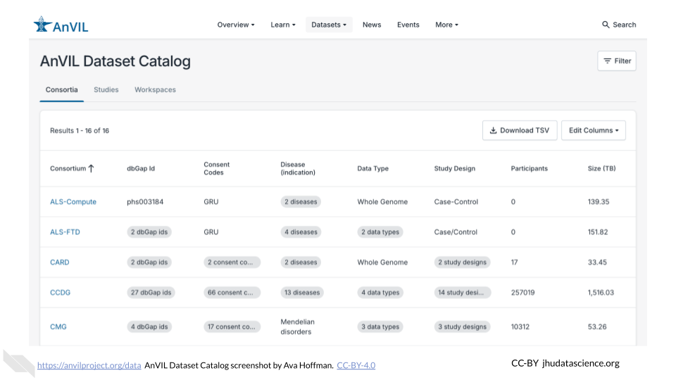 Image shows a screenshot of the AnVIL Dataset Catalog website landing page.