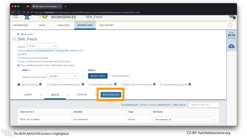 The RUN ANALYSIS button is highlighted