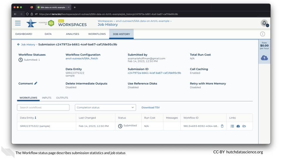 The Workflow status page describes submission statistics and job status