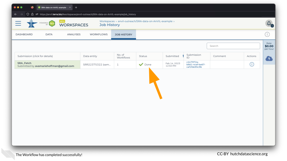 The check mark indicates the Workflow has completed successfully