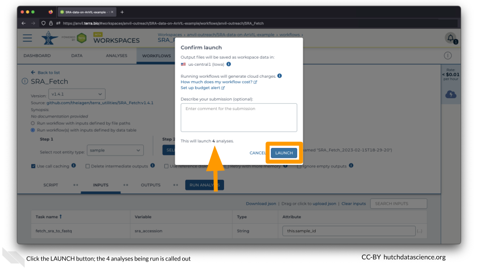 Click the LAUNCH button; the 4 analyses being run is called out
