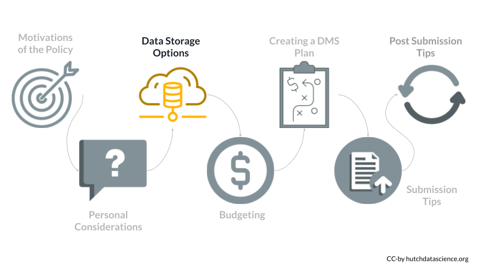 We are on the third step of the pathway - Data Storage Options.