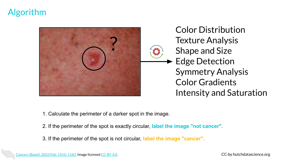 CAPTION HERE