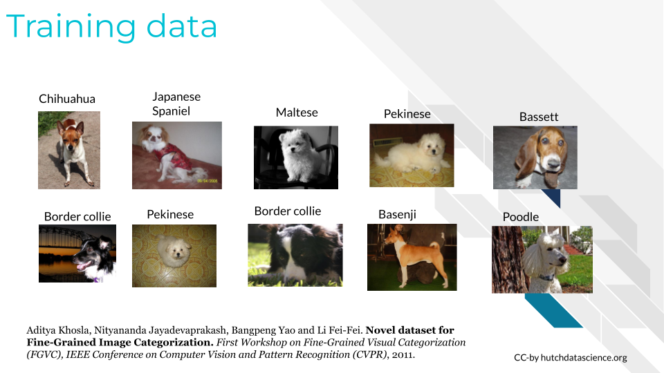 An image of possible training data of photos of different dog breeds'.