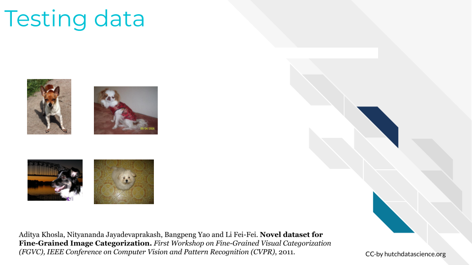 An image of possible testing data of photos of different dog breeds, including 3 of the exact images shown in the training data'.