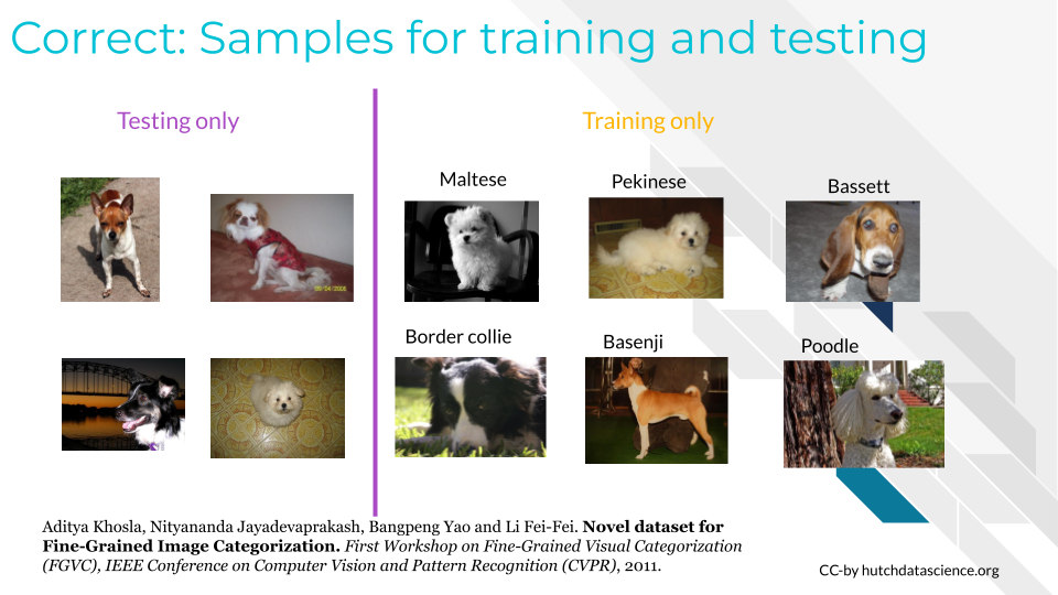 An image showing that the testing and training dataset should be separate from one another, so 4 images used for testing are now not included in the training set.