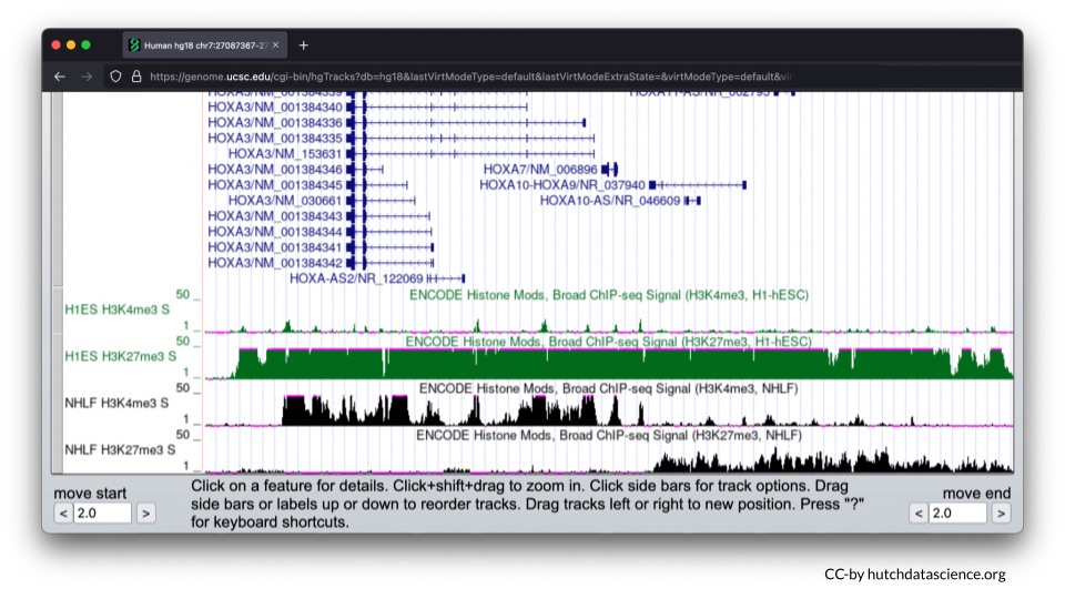 Histone marks are shown below the HOXA loci in the genome browser.