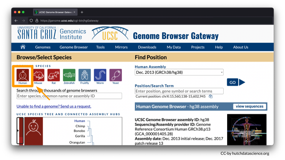 Landing page for the UCSC Genome browser Gateway.