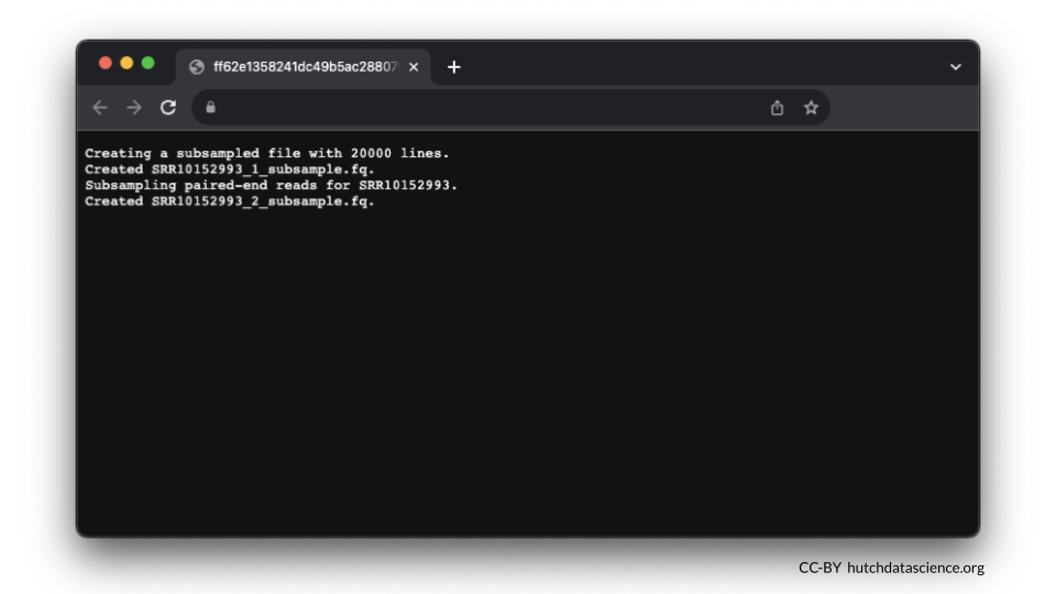 Terminal monospace text shows the following: Creating a subsampled file with 20000 lines. Created SRR10152993_1_subsample.fq. Subsampling paired-end reads for SRR10152993. Created SRR10152993_2_subsample.fq.