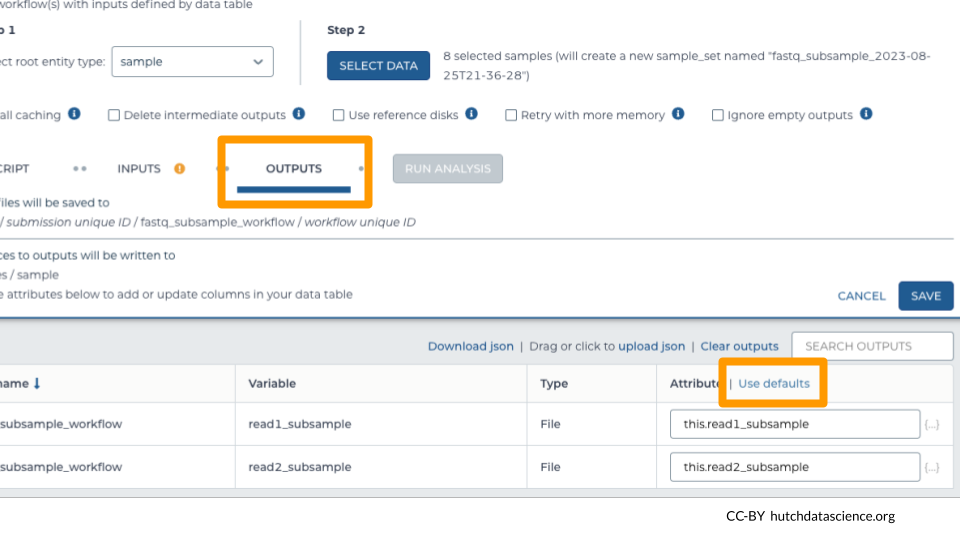 On the outputs tab of the workflow setup is highlighted. Use defaults option is highlighted. The two outputs, read1_subsample and read2_subsample are set to the default values under attributes. These are 'this.read1_subsample' and 'this.read2_subsample'.