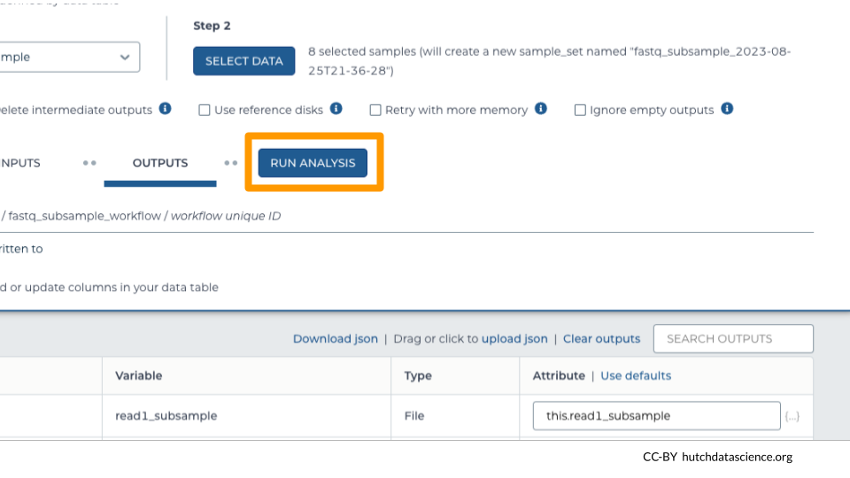 The RUN ANALYSIS button is highlighted.