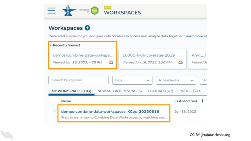 Screenshot of Terra Workspaces page with the "My Workspaces" tab selected.  The name of the Workspace is highlighted.