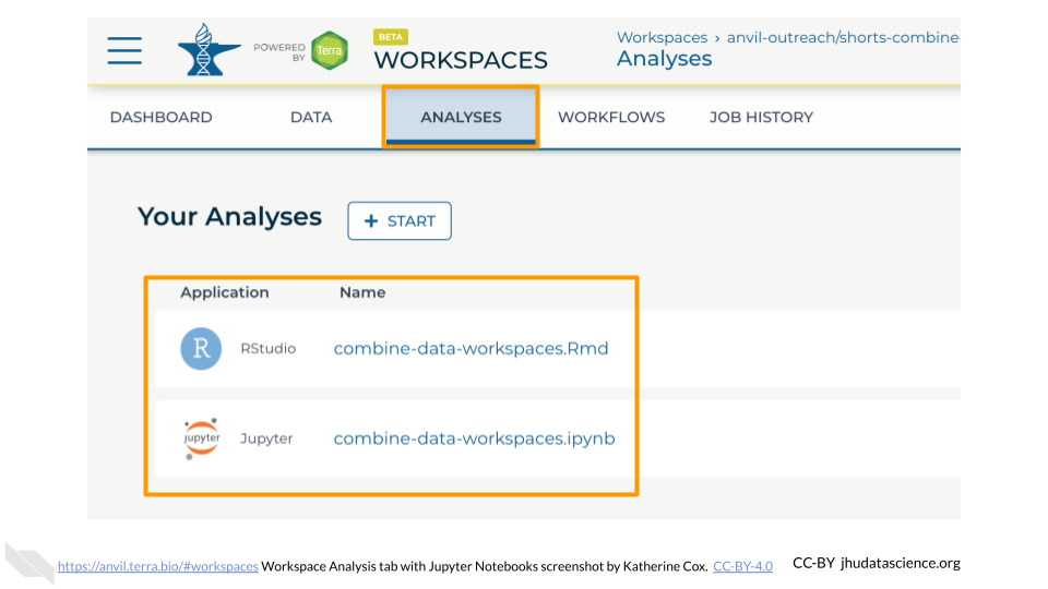 Screenshot of Terra Workspace with the "ANALYSES" tab selected and highlighted.  The page shows a list of Jupyter and R Notebooks.