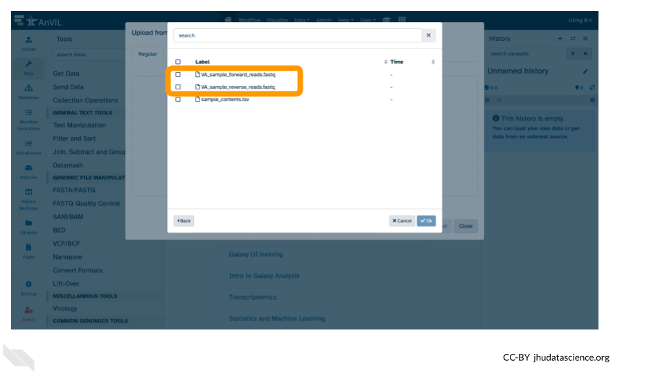 Screenshot of the Galaxy Data upload popup pane, selecting the two data sequence .fastq files
