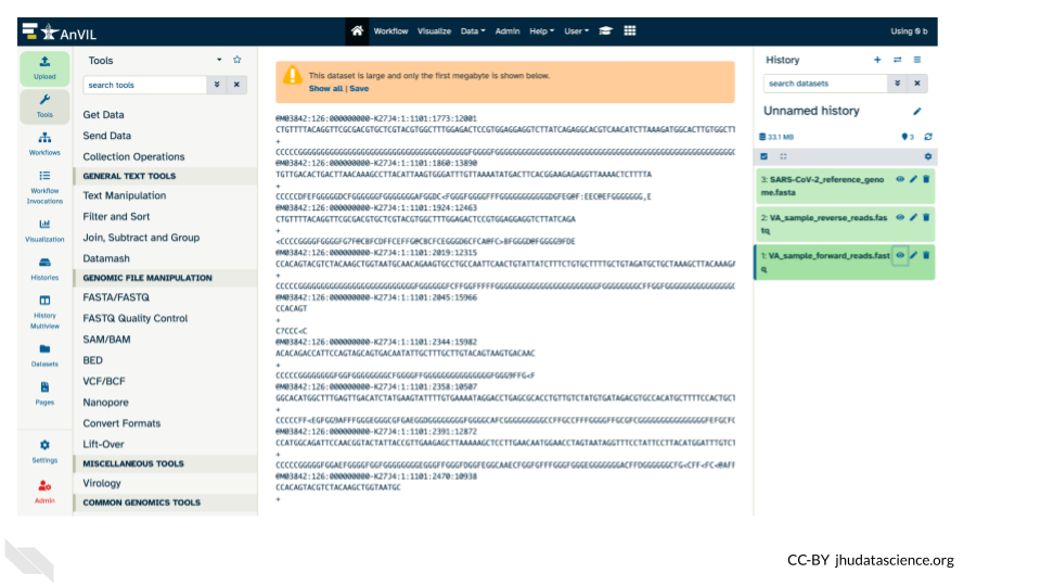 Screnshot of a fastq file in the middle panel of Galaxy. The data includes DNA sequences but also includes many coded characters, making it hard to understand.