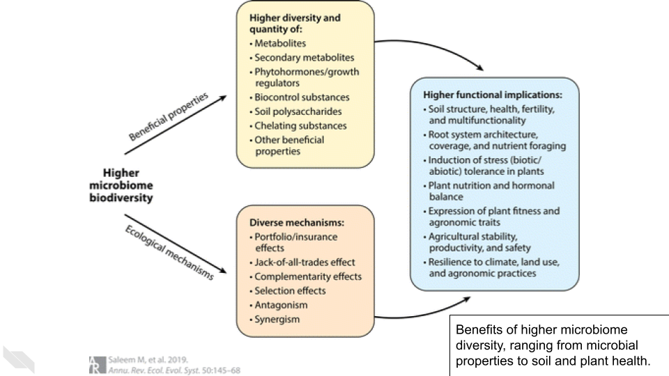 Microbiome diversity has many benefitial properties ranging soil and plant health.