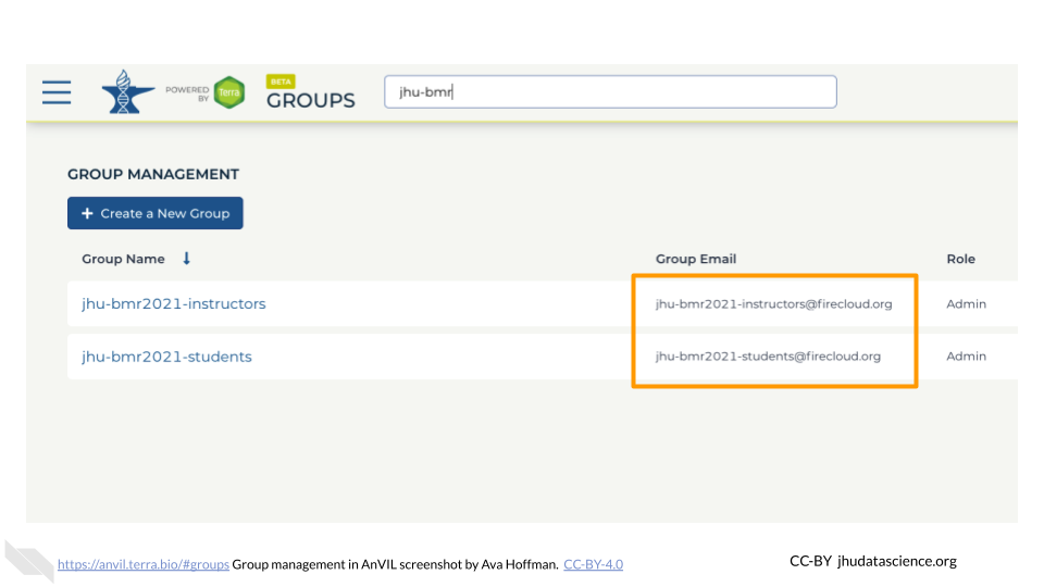 Screenshot of the Terra Group page. Emails associated with newly formed Groups have been highlighted.