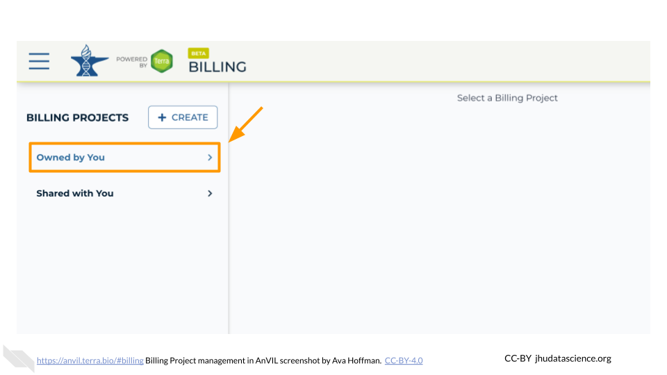 Screenshot of the AnVIL Billing page. The "Owned by You" billing list is highlighted.