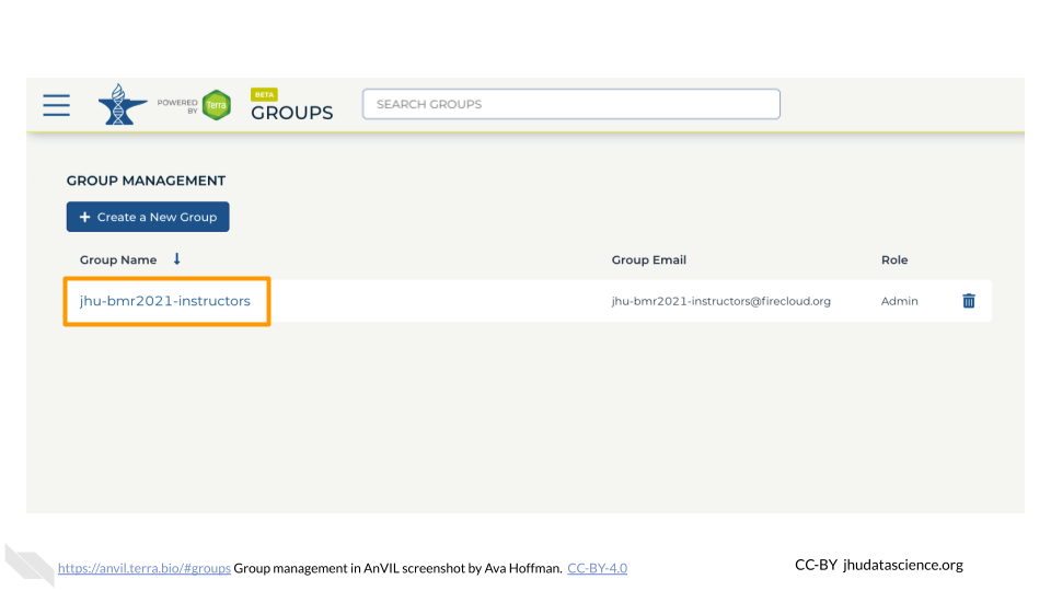 Screenshot of the Terra Group, and the specific Group that was just created. The Group Name is highlighted.