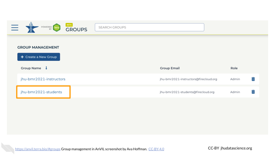 Screenshot of the Terra Group, and the specific Group that was just created. The student Group name is highlighted.