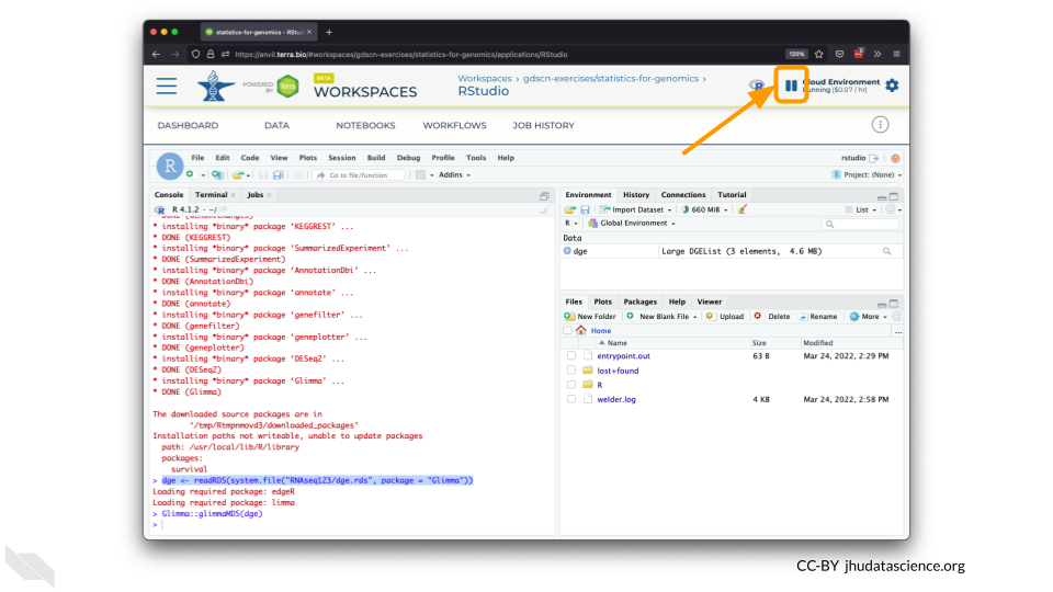 Screenshot of the RStudio interface. The stop icon on the top right which stops the cloud environment is highlighted.