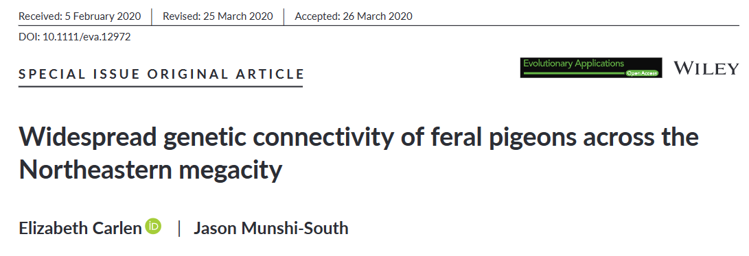 Image of the title of the Carlen and Munshi-South paper on feral pigeon genetics