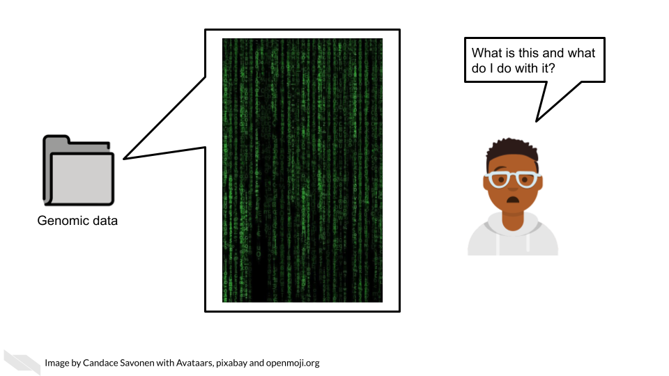 The researcher may attempt to open their newly received genomic data and be completely perplexed by the file formats or what these data even represent. The researcher says ‘What is this and what do I do with it’