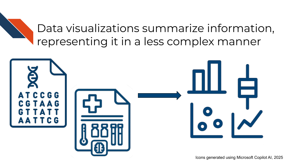 Data visualizations summarize information, representing it in a less complex manner