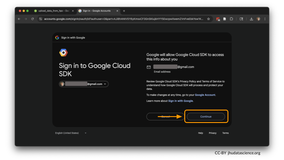 Select continue on the Google browser prompt.