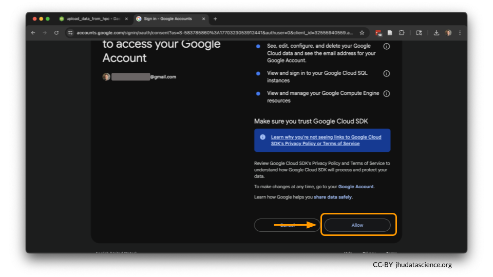 Select allow on the Google browser prompt to continue with establishing access.