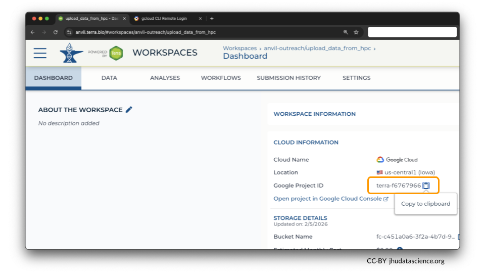 You can find the Google Project ID on the workspace dashboard.