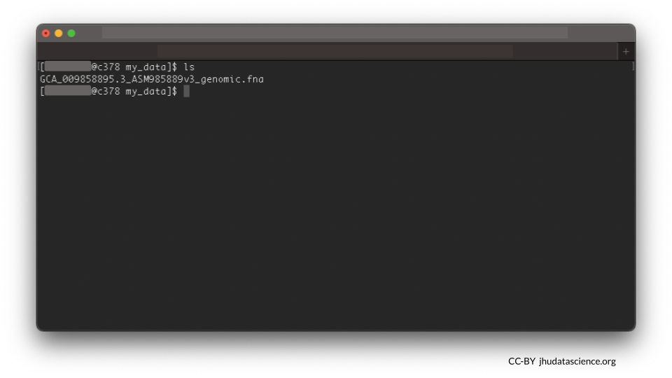 Typing in the list files command shows there is one file in the working directory.