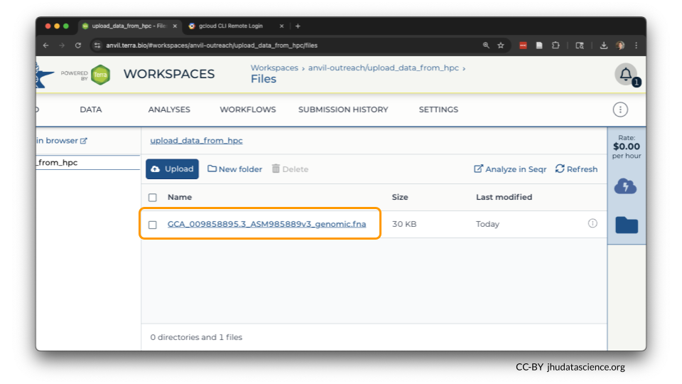 The file appears on AnVIL interface, so the transfer was a success.